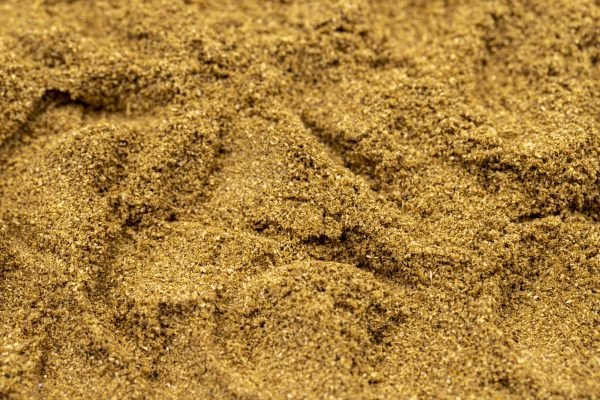 Pile of coriander powder as background, spice or seasoning as background. Close-up coriander powder