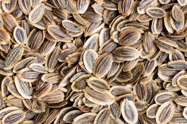 square food background - dried dill seeds close up