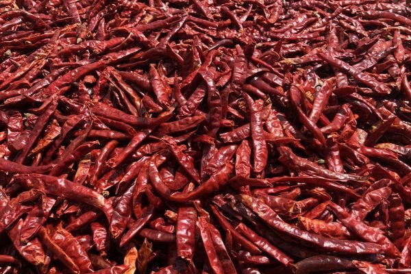 Dry Red Chillies