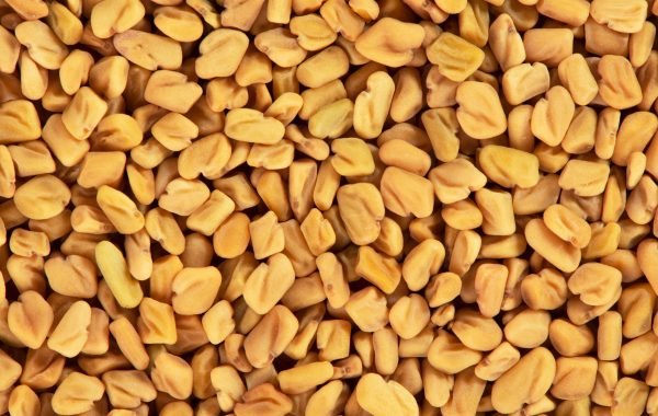 Fenugreek seeds