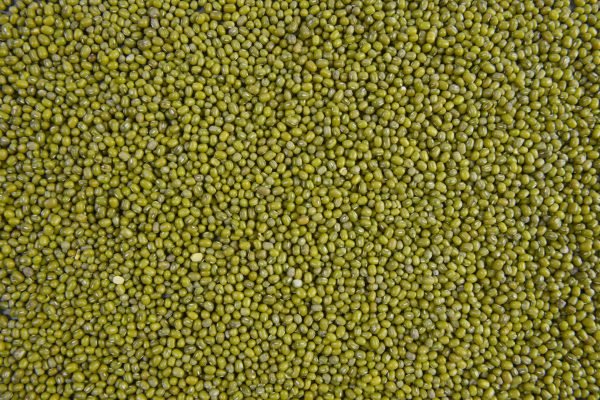 Seeds mung beans useful for health texture background.