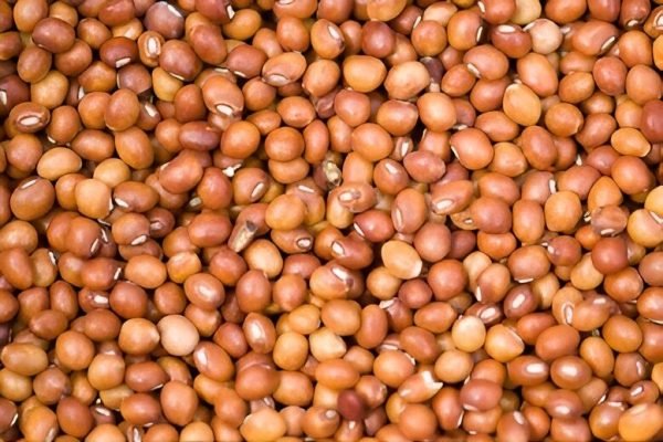 Pigeon Peas