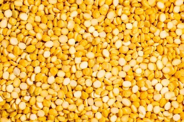 chana dal