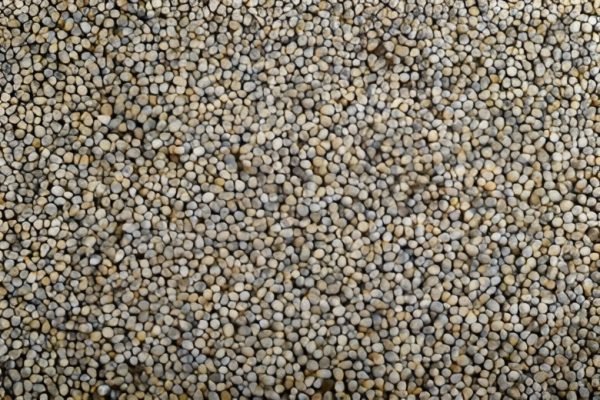 pearl millets