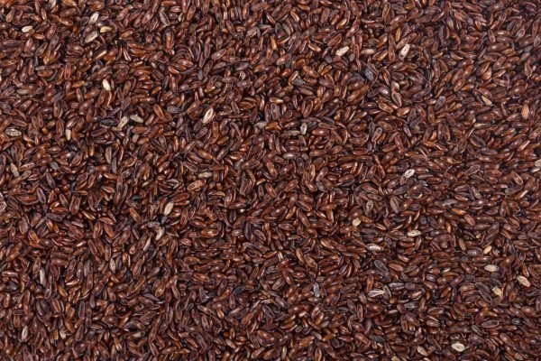 Psyllium seeds background. Plantain or Plantago psyllium.