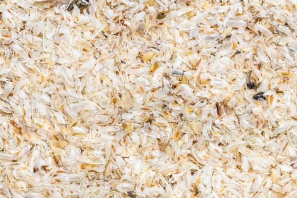 square food background - raw psyllium husk close up